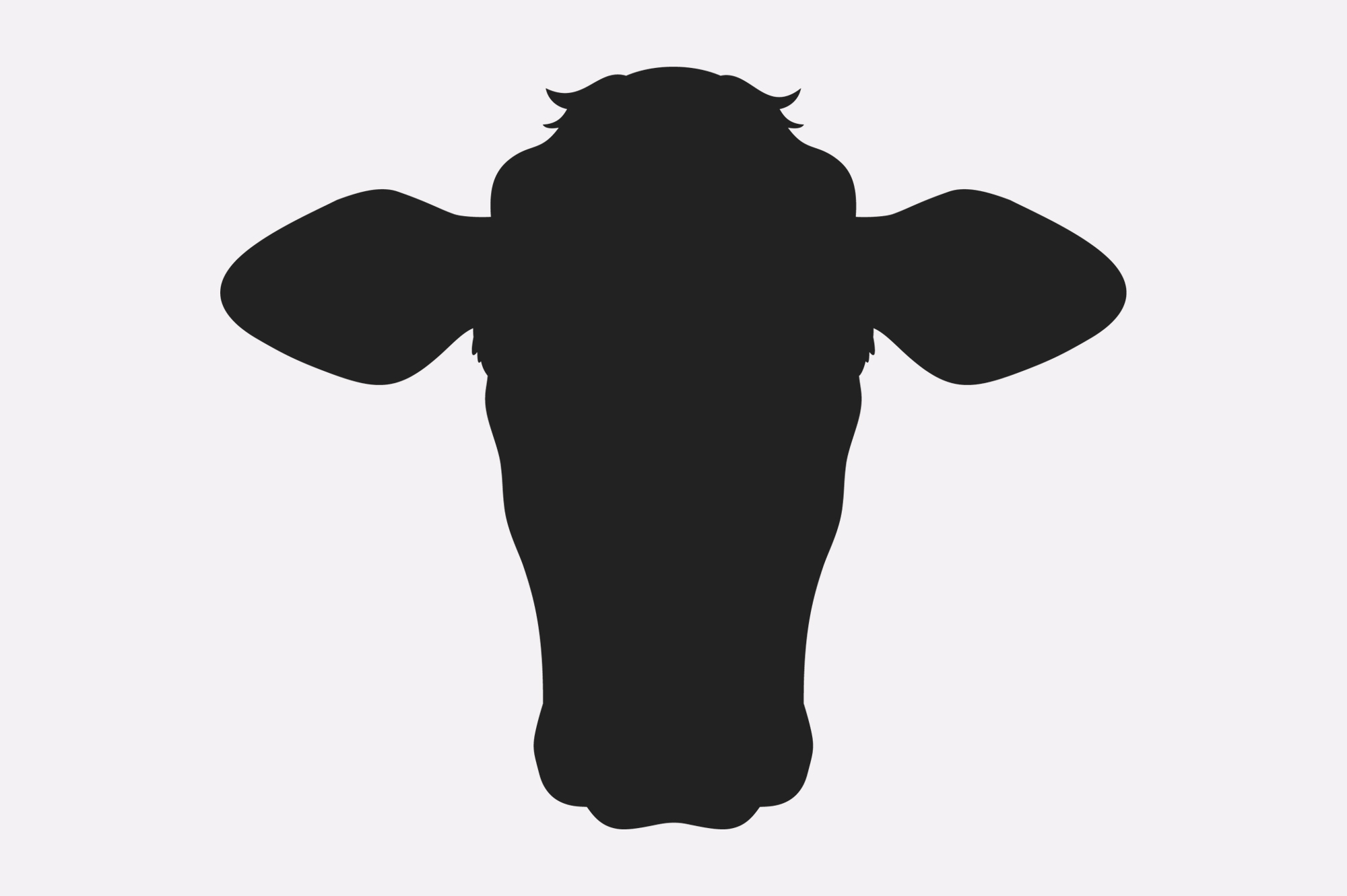 Meat Box – Better Beef Company