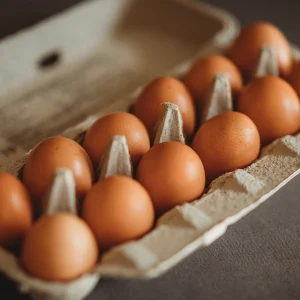 Willamette Valley Pasture Raised Eggs - 1 Dozen